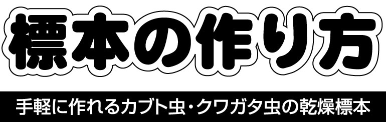 標本の作り方 ホームセンター通販 カインズ