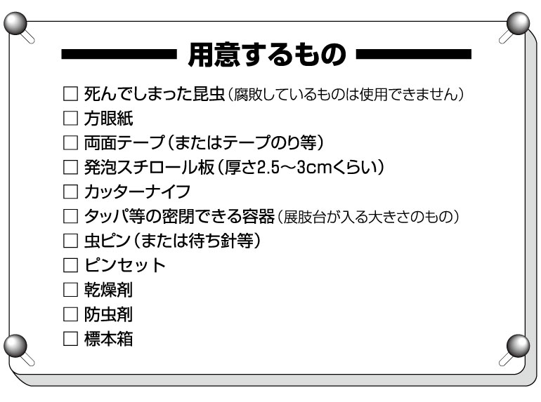 標本の作り方 ホームセンター通販 カインズ