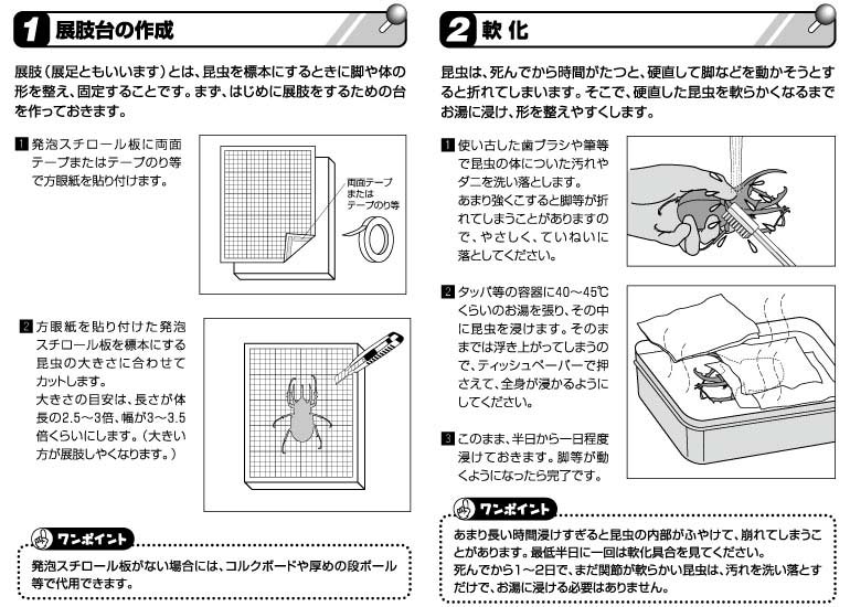 標本の作り方 ホームセンター通販 カインズ