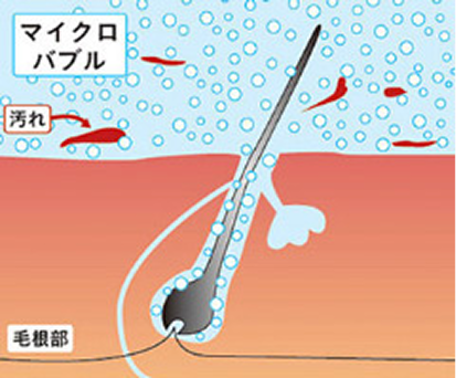 3.本来の毛質に