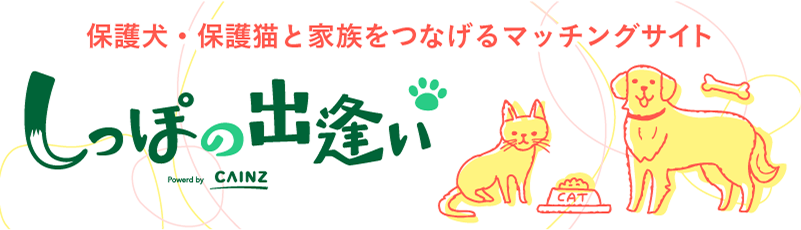 保護犬・保護猫と家族をつなげるマッチングサイト しっぽの出逢い